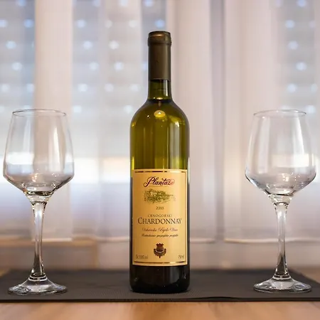 Apartment Podgorica *