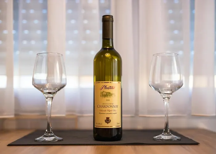 Apartment Podgorica *